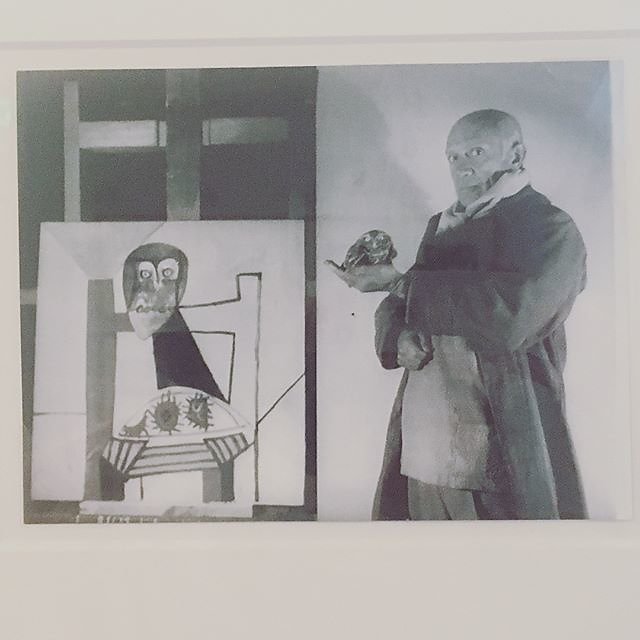 #picasso museum #antibes #owl