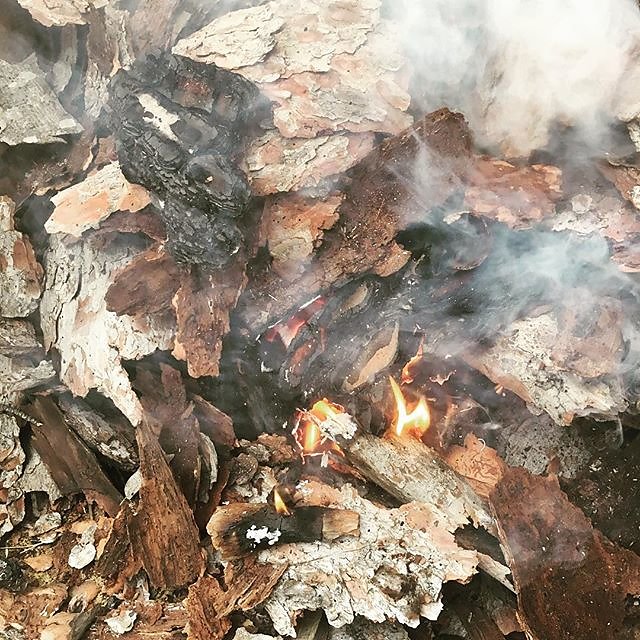 #provence #pinetree #woodash #pottery #glaze @maisonlambot