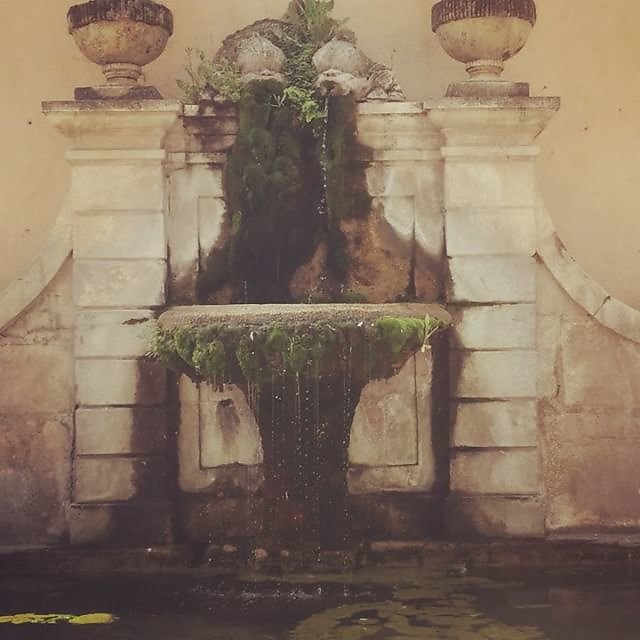 #fountain #cotignac #provenceverte #mossy