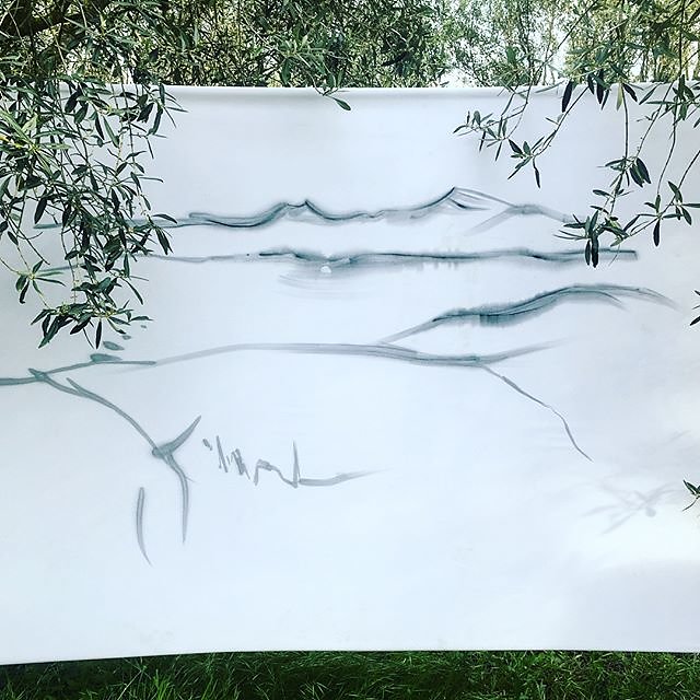 #watercolour #ink #painting #bessillon @maisonlambot #procence #olivegarden