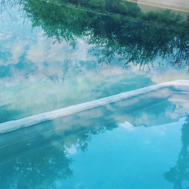 #summerevening #provence #swimmingpool #swimmingtime #olivegrove #olivegarden @maisonlambot #provence